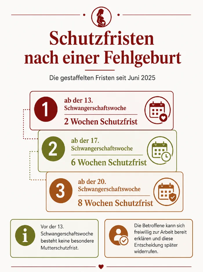 schutzfristen nach fehlgeburt