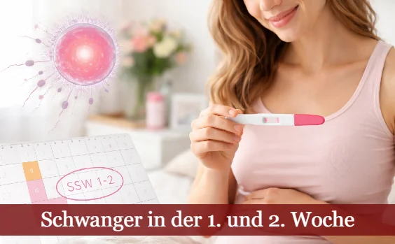 Junge Frau mit Schwangerschaftstest. Text: Schwanger in der 1. und 2. Woche 