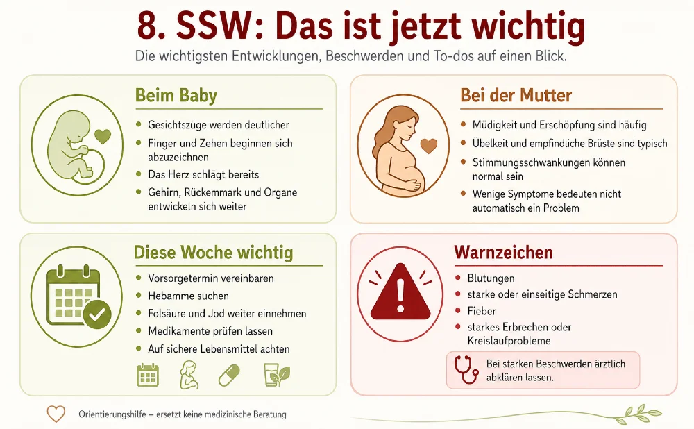 schwanger woche 8 uebersicht