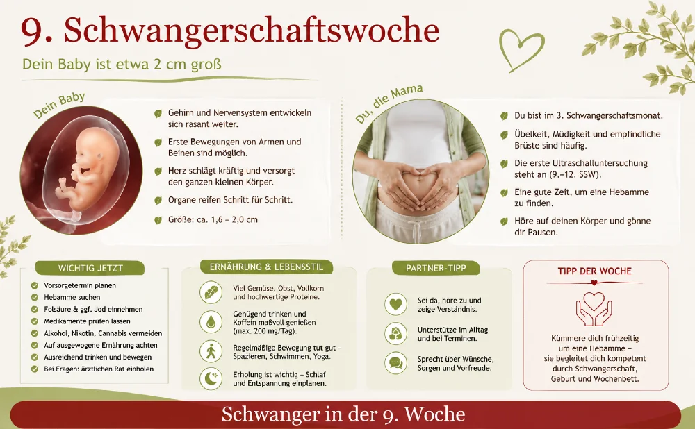 Überblick und Checkliste zur 9. Schwangerschaftswoche